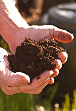 Fresh compost cultivated by City Soil in Boston, MA.